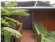 Lot 145 Carbeen Road, Diwan, Daintree QLD 4873