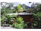 Lot 145 Carbeen Road, Diwan, Daintree QLD 4873