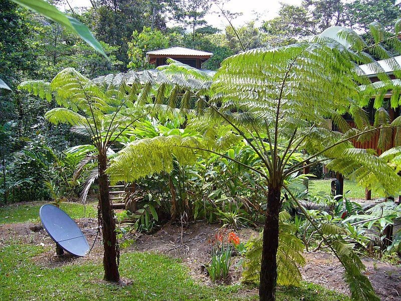 Lot 145 Carbeen Road, Diwan, Daintree QLD 4873