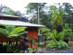 Lot 145 Carbeen Road, Diwan, Daintree QLD 4873