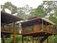 Lot 145 Carbeen Road, Diwan, Daintree QLD 4873