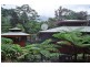 Lot 145 Carbeen Road, Diwan, Daintree QLD 4873