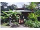 Lot 145 Carbeen Road, Diwan, Daintree QLD 4873