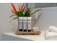 Unit 3 The Beach Terraces 15 Garrick Street, Port Douglas QLD 4877
