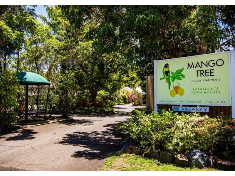Unit 3 Mango Tree 91 Davidson Street, Port Douglas QLD 4877