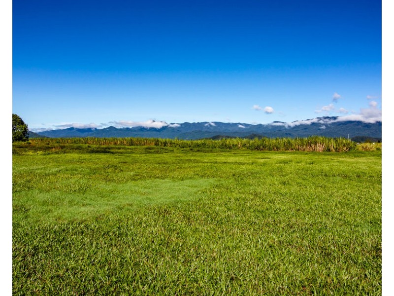 1176 Mossman-Daintree Road, Rocky Point QLD 4873