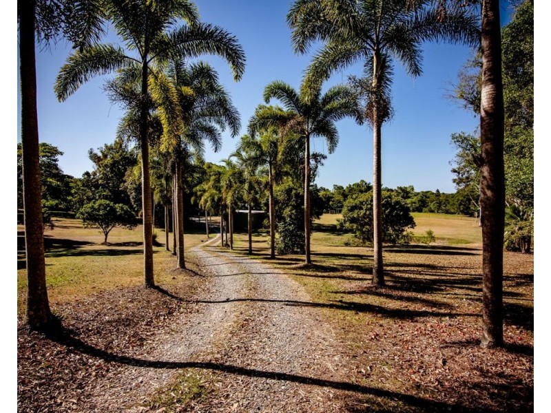 120 Highland Drive, Julatten QLD 4871