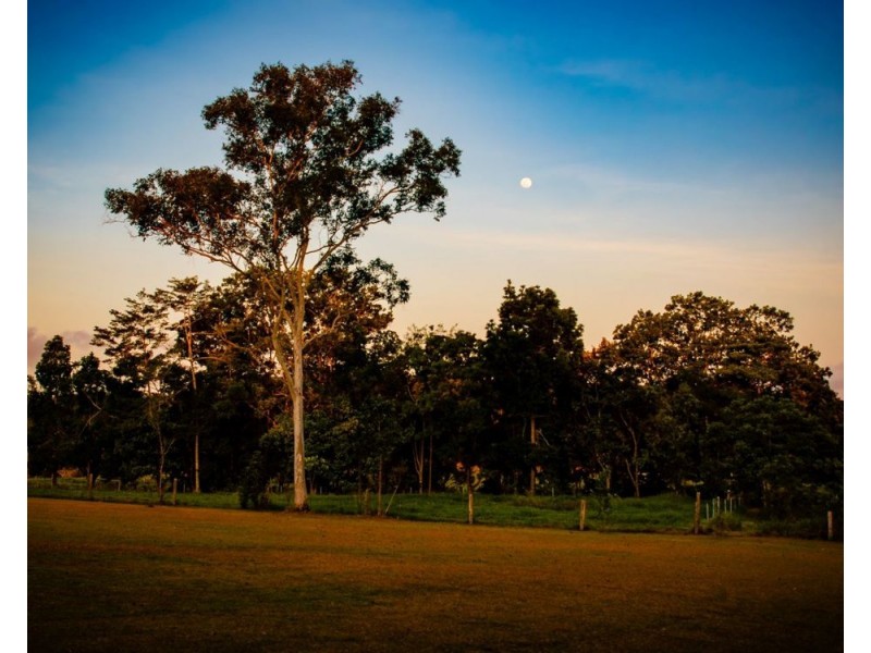 120 Highland Drive, Julatten QLD 4871