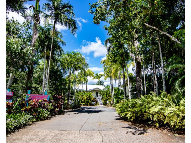 Unit 41/1 Beor Street, Craiglie, Port Douglas QLD 4877