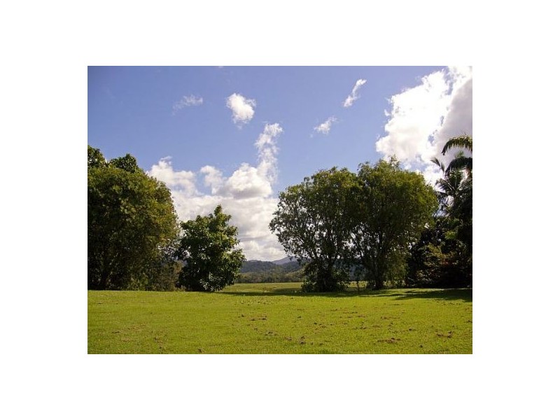 Daintree QLD 4873