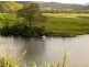 Daintree QLD 4873