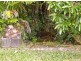 Daintree QLD 4873