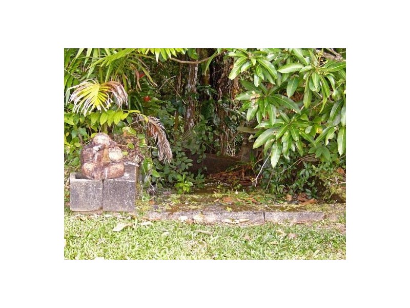 Daintree QLD 4873