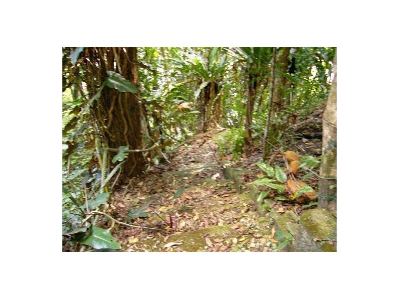 Daintree QLD 4873