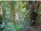 Daintree QLD 4873