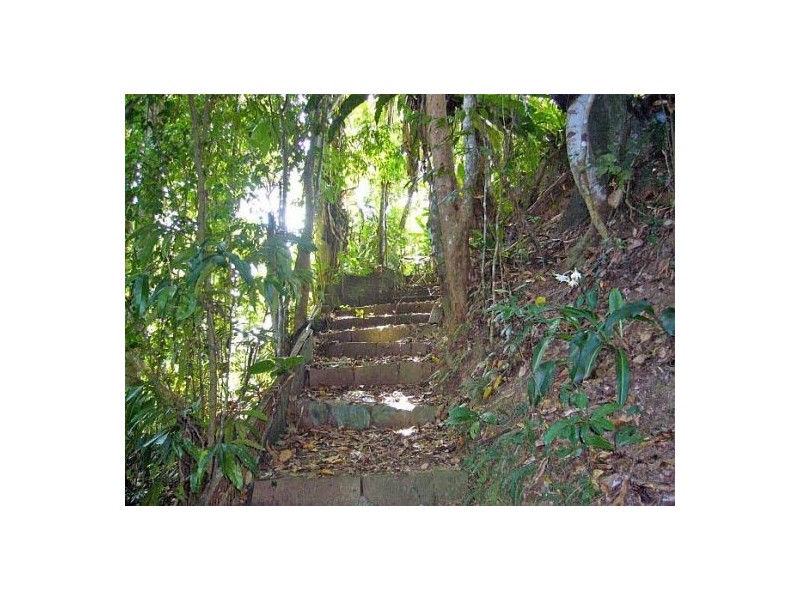 Daintree QLD 4873