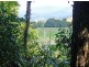 Daintree QLD 4873