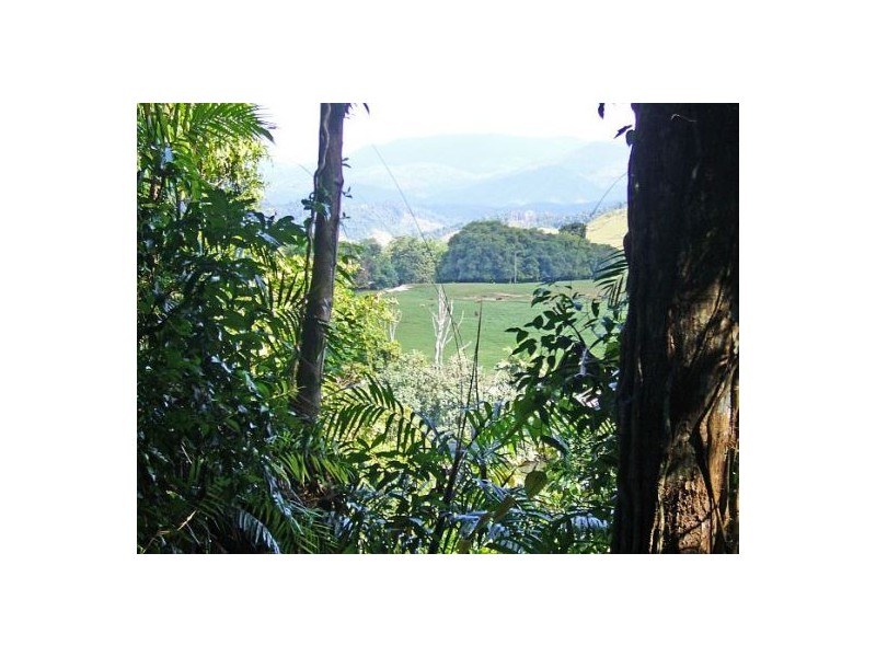 Daintree QLD 4873