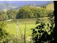 Daintree QLD 4873