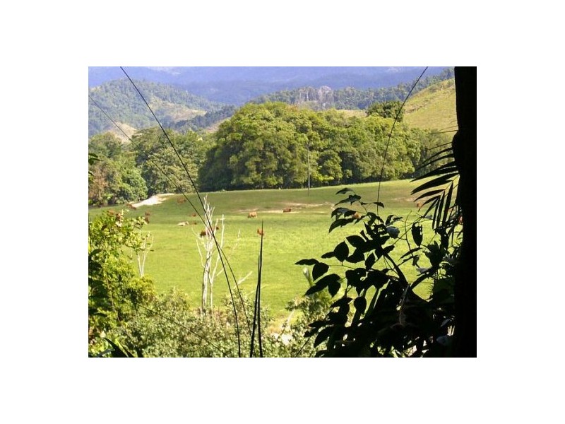 Daintree QLD 4873