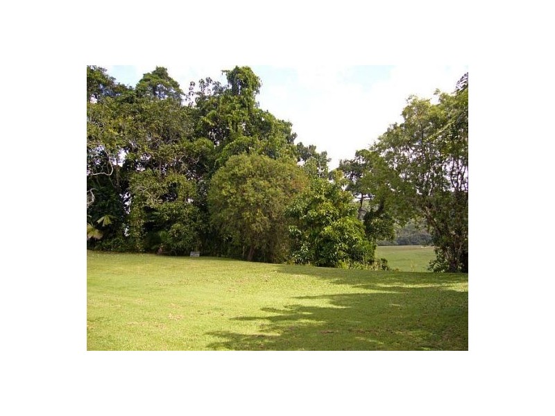 Daintree QLD 4873