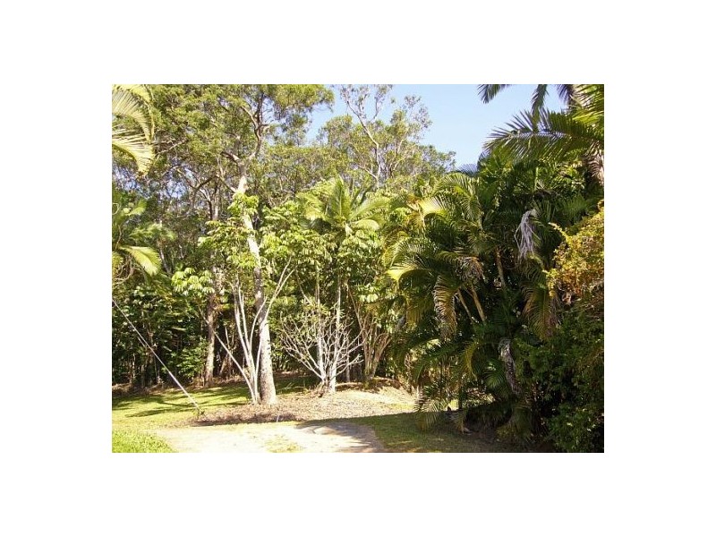 Daintree QLD 4873