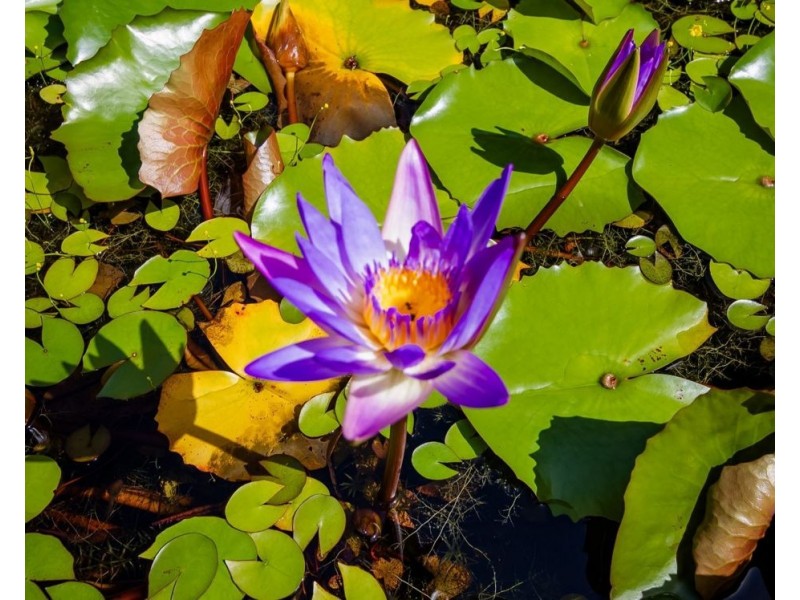 19 47-49 Davidson Street, Port Douglas QLD 4877