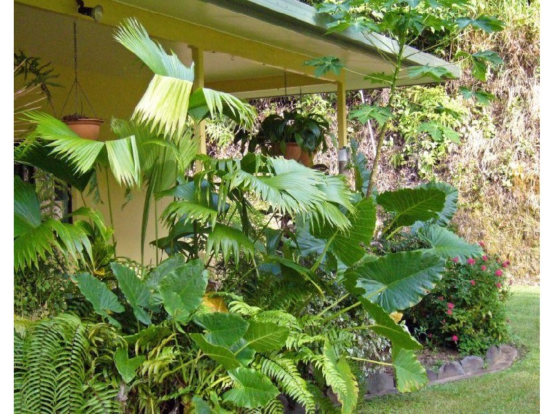 Port Douglas QLD 4877