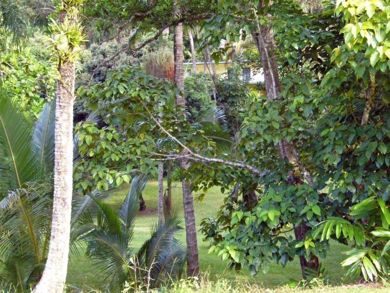 Port Douglas QLD 4877