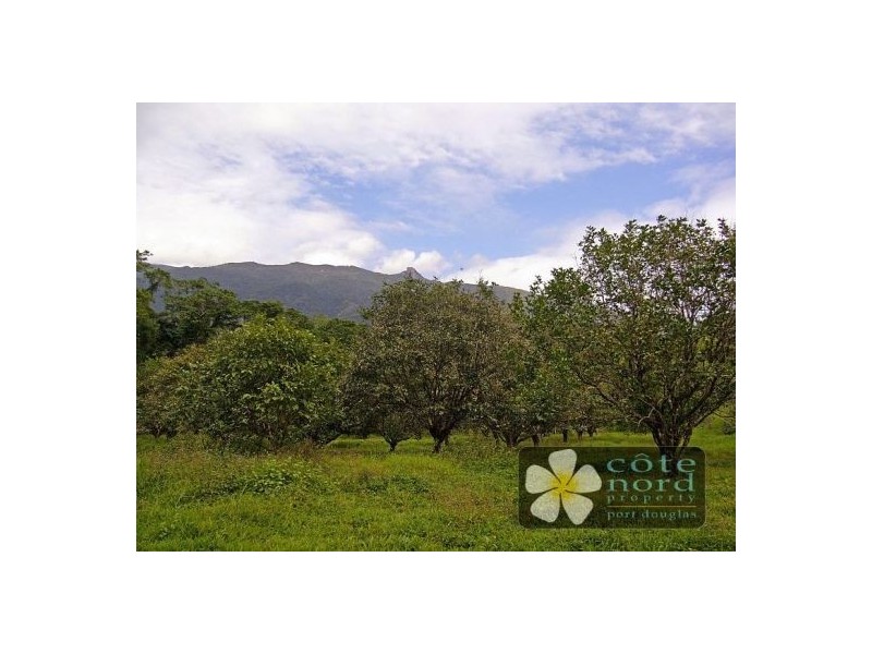 Whyanbeel Road,Whyanbeel Valley, Port Douglas QLD 4877