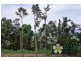 Lot 3 Milky Pine Road, Kimberley, Daintree QLD 4873