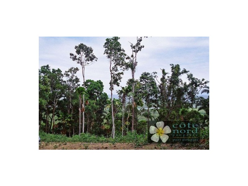 Lot 3 Milky Pine Road, Kimberley, Daintree QLD 4873