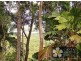 Lot 3 Milky Pine Road, Kimberley, Daintree QLD 4873