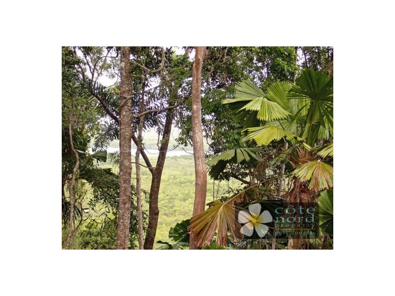 Lot 3 Milky Pine Road, Kimberley, Daintree QLD 4873