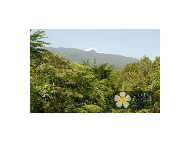 Port Douglas QLD 4877