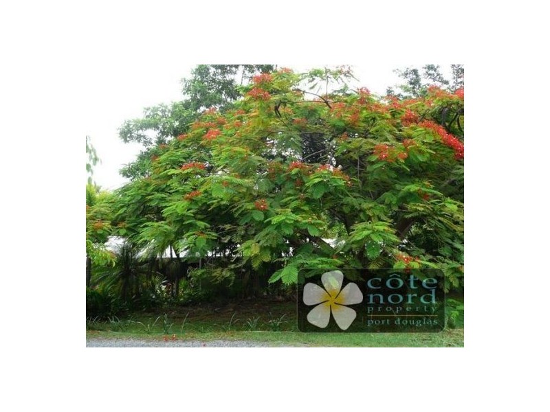 Port Douglas QLD 4877