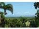 Daintree QLD 4873
