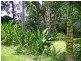 Daintree QLD 4873