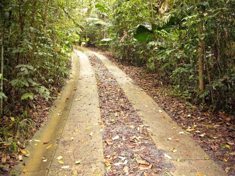 Daintree QLD 4873