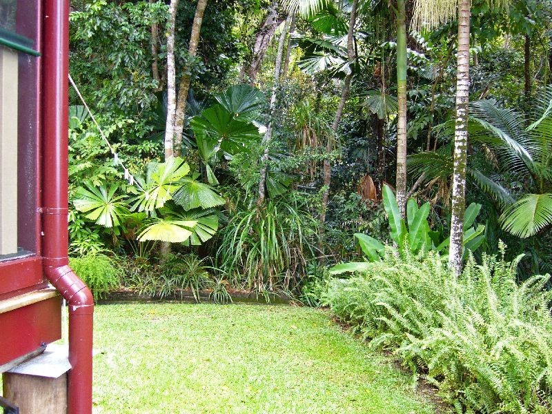Daintree QLD 4873