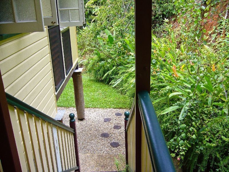 Daintree QLD 4873
