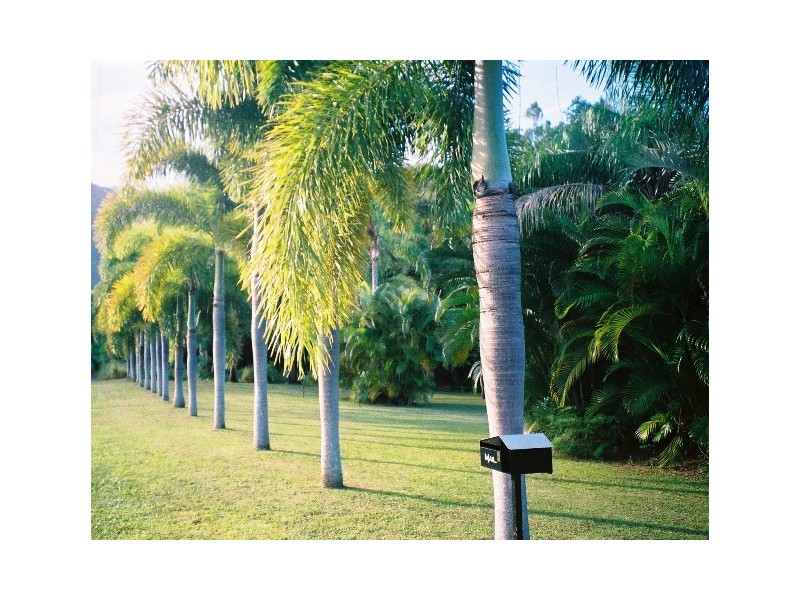 41 Reynolds Road, Oak Beach, Port Douglas QLD 4877