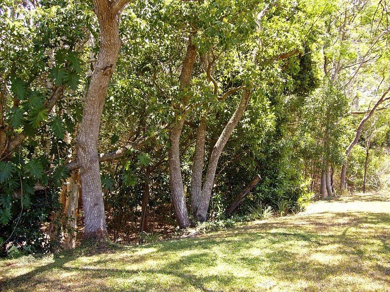 41 Reynolds Road, Oak Beach, Port Douglas QLD 4877