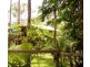 Daintree QLD 4873