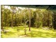 Daintree QLD 4873