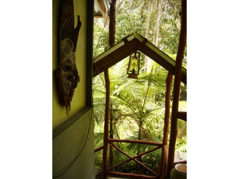 Daintree QLD 4873