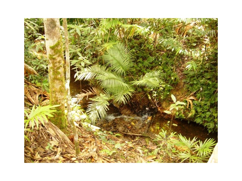 Daintree QLD 4873