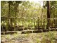 Daintree QLD 4873