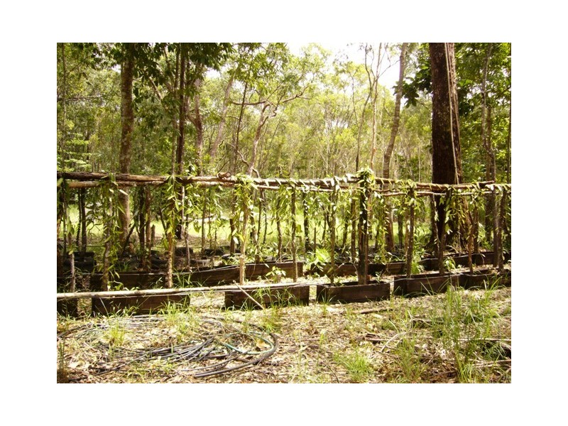 Daintree QLD 4873
