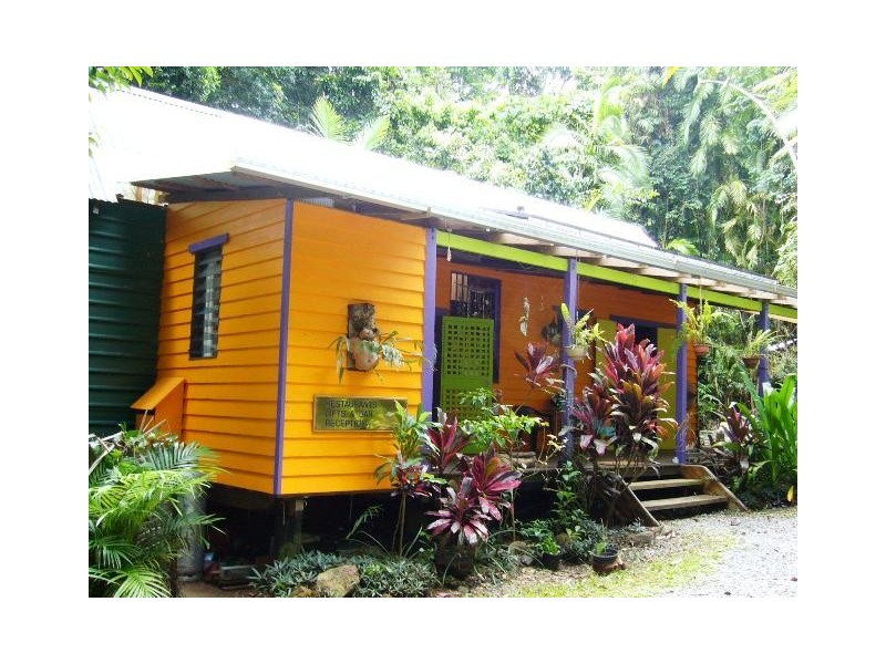 Cape Tribulation QLD 4873